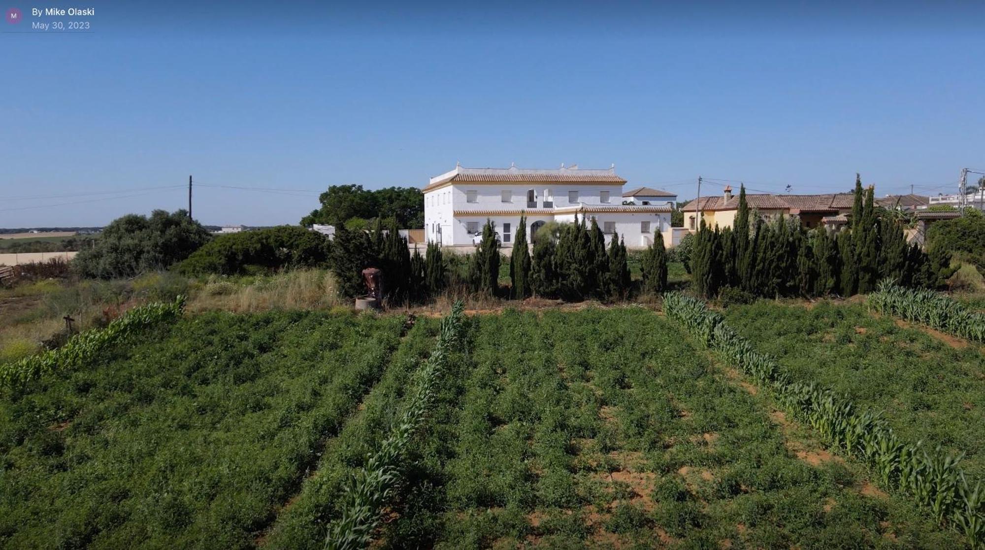 Alojamiento Rural Al'Mare Conil De La Frontera Exteriör bild
